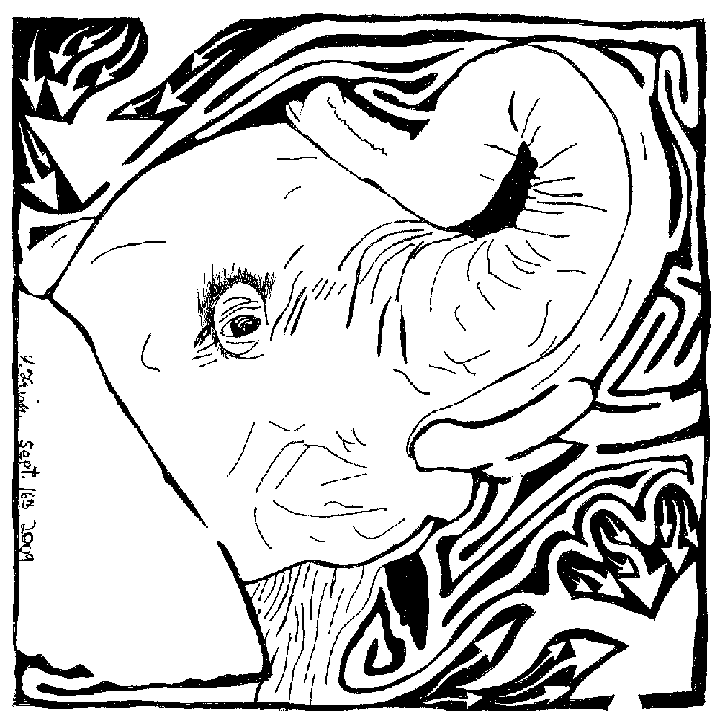 http://www.inkblotmazes.com/images/maze-comics-elephant-720.png