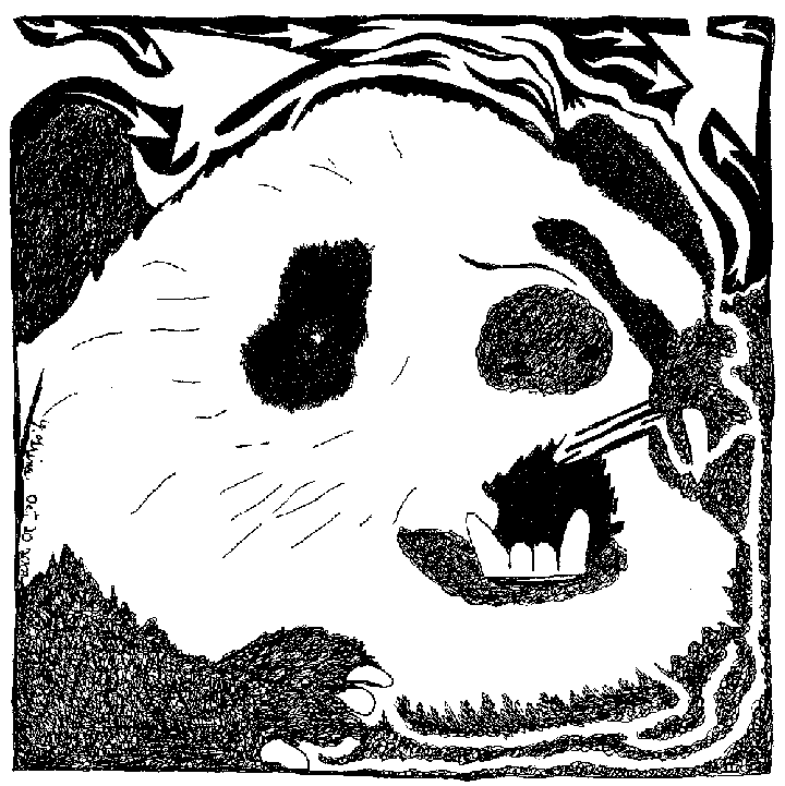 Panda Maze, Created by Yonatan Frimer, Mazes Artist Panda Maze, Created by Yonatan Frimer, Mazes Artist