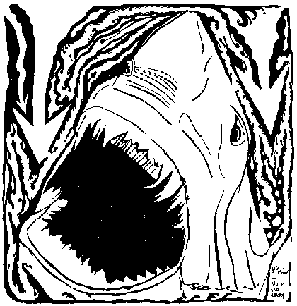 maze of shark jaws attacking illustration